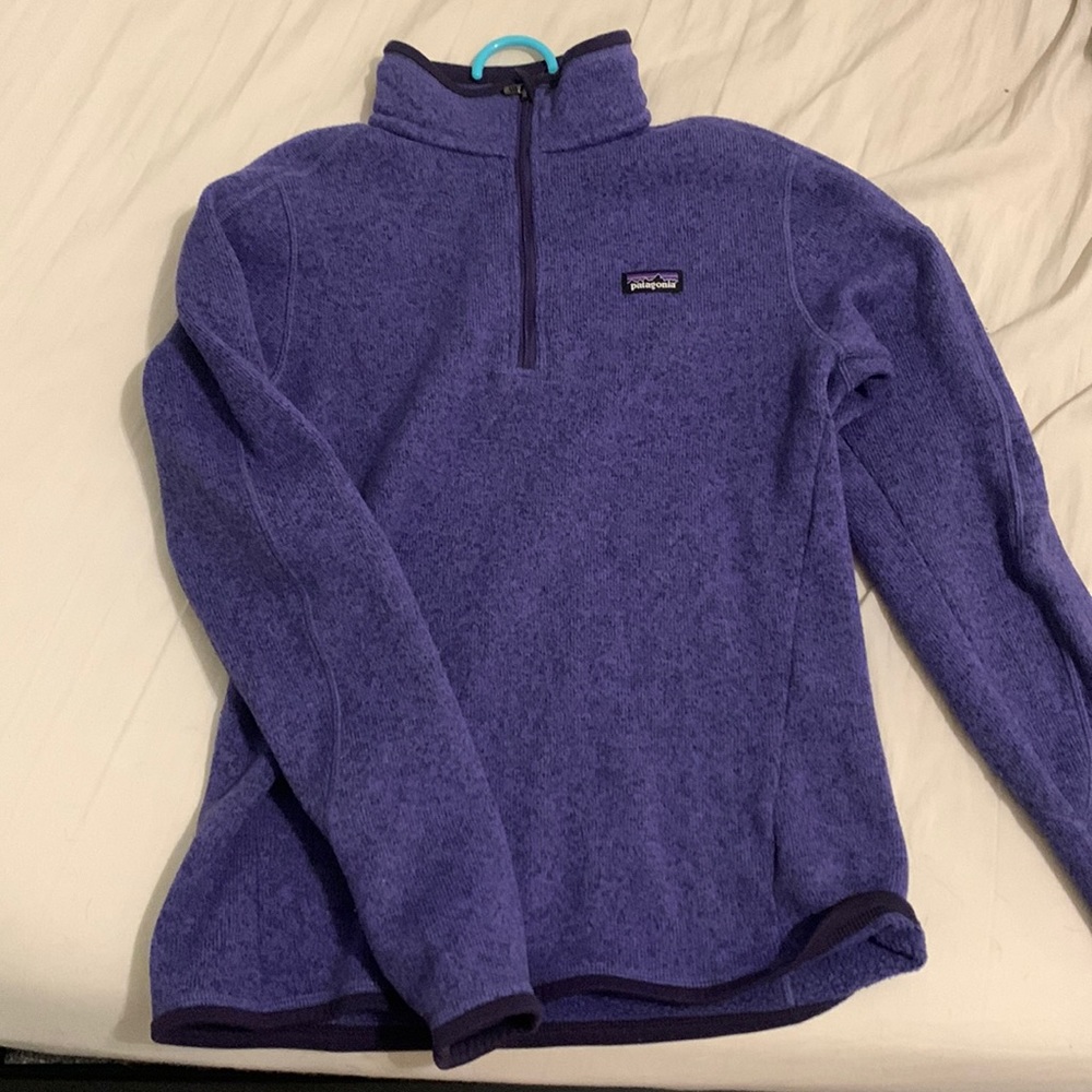 Purple Patagonia Better Sweater